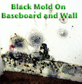 Eco Pro Restoration business image in Pikesville, MD
